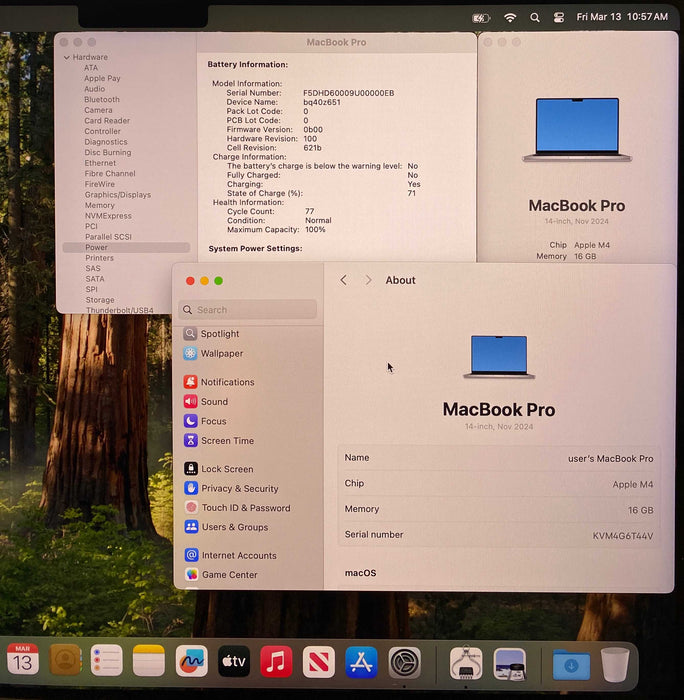 Apple MacBook Pro 14' M4 2024 Silver 16GB RAM 512GB SSD No Power Adapter