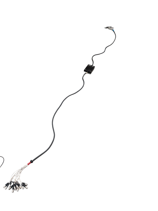 Viper By BRTB Made in Canada 12 Channel Snake Cable For Professional Audio  =