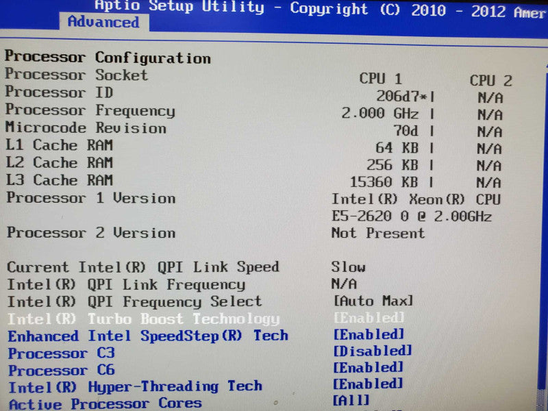 Intel S2600GZ, E5-2620 2.0GHz 8GB DDR3, Intel Embedded Server RAID II |