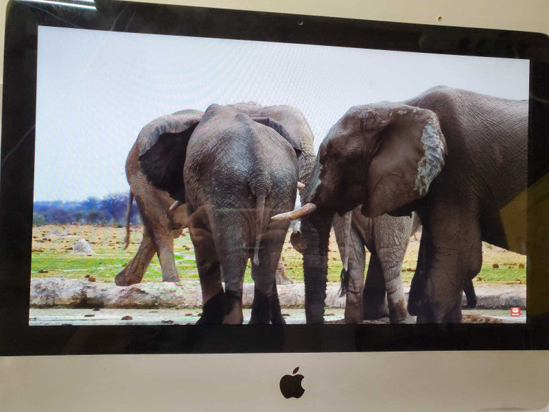 Apple iMac 21.5\\" Mid-2011 A1311 i5-2500S @2.7GHz 4GB 1TB HDD HD 6770M )