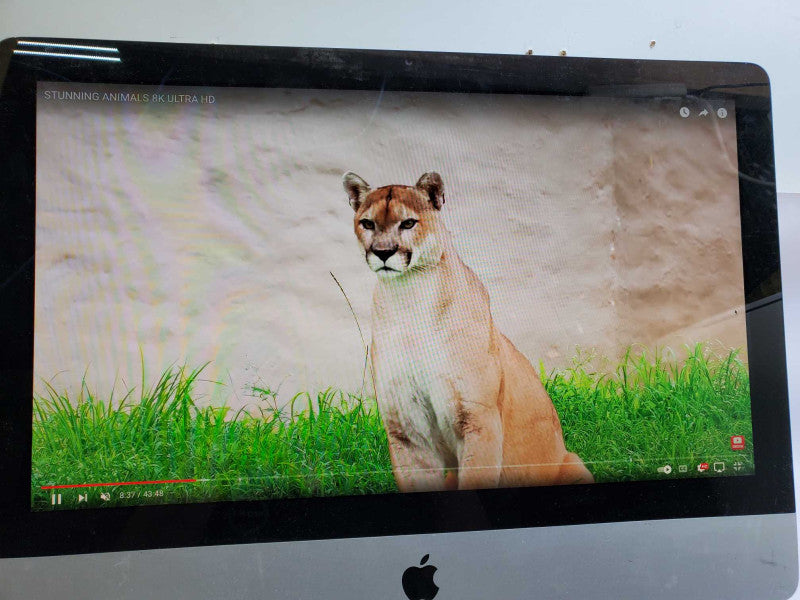 Apple iMac 21.5\\" Late 2009 A1311 Duo E7600 @3.06GHz 4GB 500GB 9400 256M )