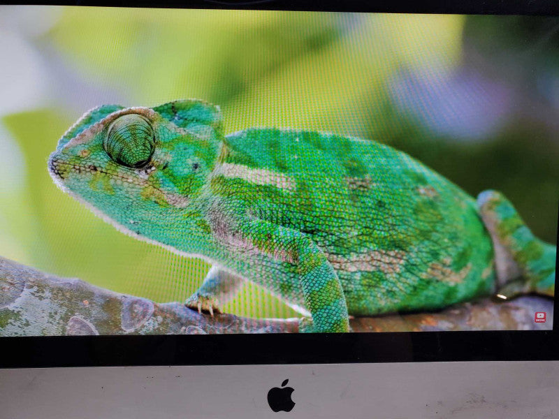 Apple iMac A1311 21.5\\" Core i5-2400S @2.5GHz 16GB 500G HDD HD 6750M 512MB  )