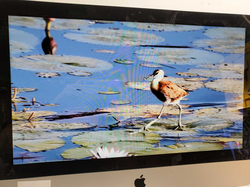 Apple iMac A1311 21.5\\" Core i3-540 @3.06GHz 4GB 500G HDD HD 4670M 256MB )