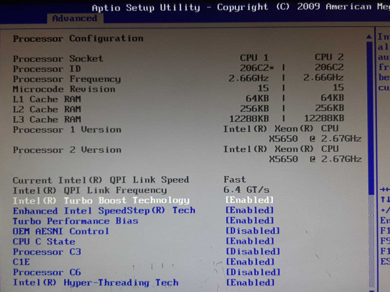 Cisco UCS C250 M2 2x Xeon X5650 @ 2.67GHz 64GB RAM - NO HDD/Caddies/RAID +