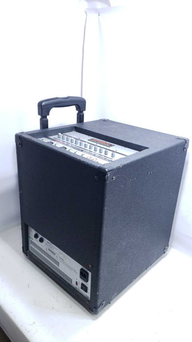 NADY Audio RPA-2 Portable Sound System 65W Tested Work [