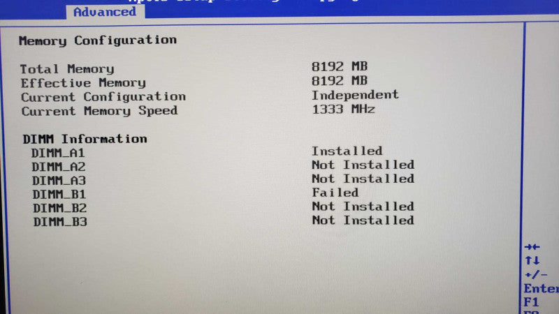 Custom Server IntelÂ® Server Board S3420GP Xeon X3450@2.67GHz 8GB DDR3 GF210 [