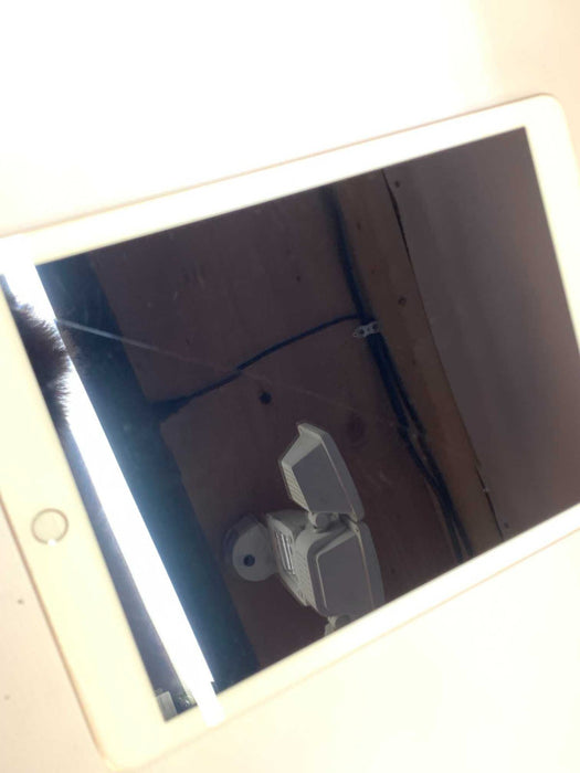 Apple iPad 5th Gen 9.7\\" 128G Wi-Fi & Cellular A1823 White READ [