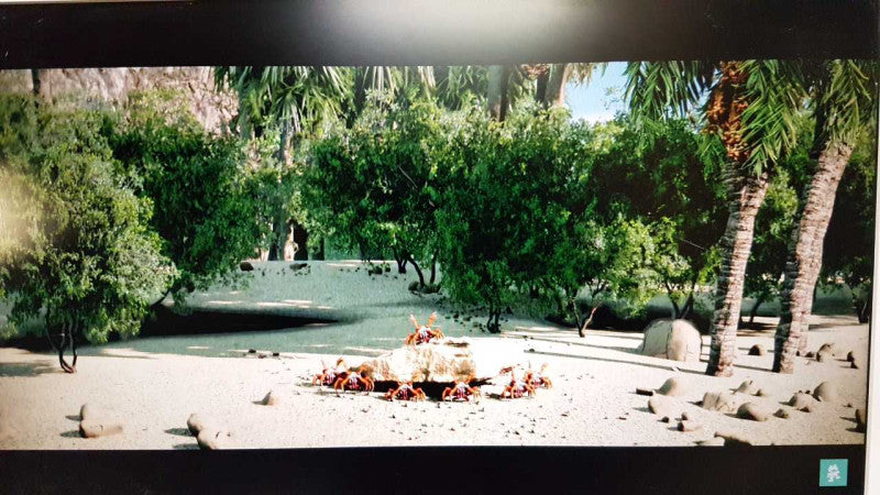 Samsung F2380MX 23\\" / 1080p / 8MS /cPVA TFT / 150000:1 / 300 nits / 100% sRGB #