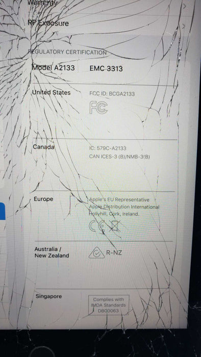 Apple iPad Mini 5 A2133 WiFi 64G READ [