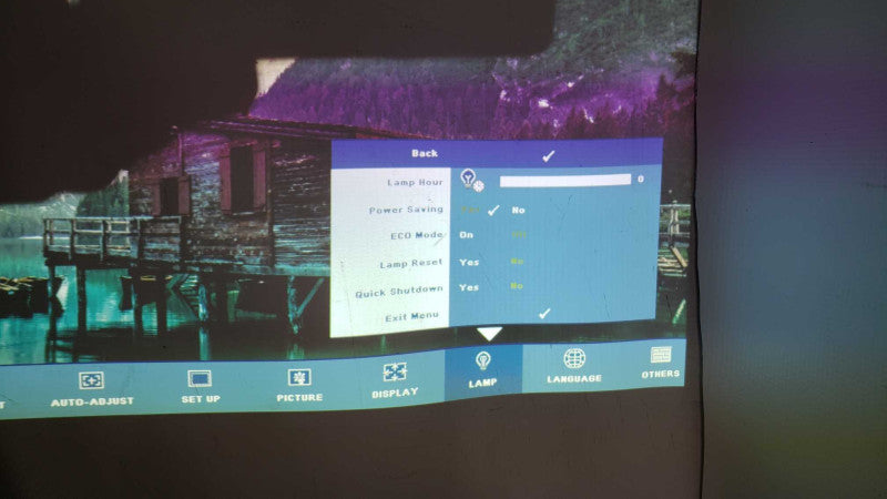 Dell M209X DLP Front Projector HD HDMI 1080i Lamp Hour 0 [