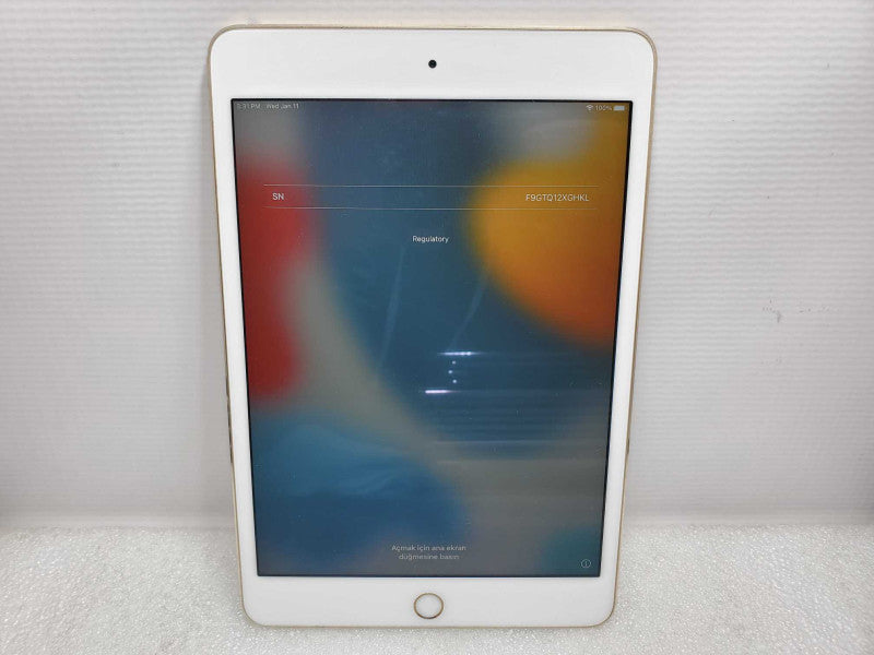 Apple iPad Mini 4 - A1538 [For Parts Only]   (