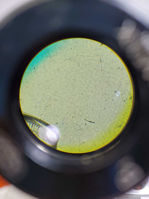 OLYMPUS binocular microscope  EHT-201192 +