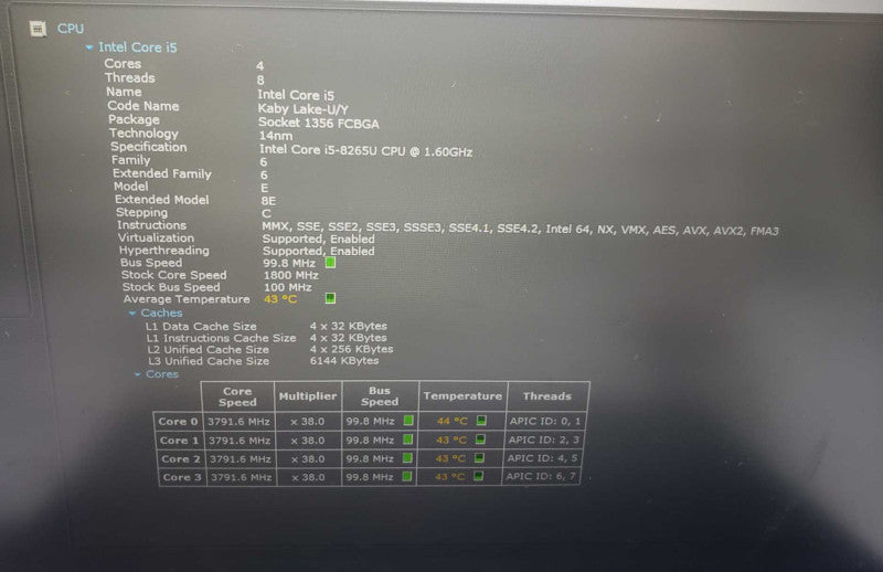 Lenovo Thinkpad T490 Laptop i5-8265U 8 GB RAM 256GB SSD  )