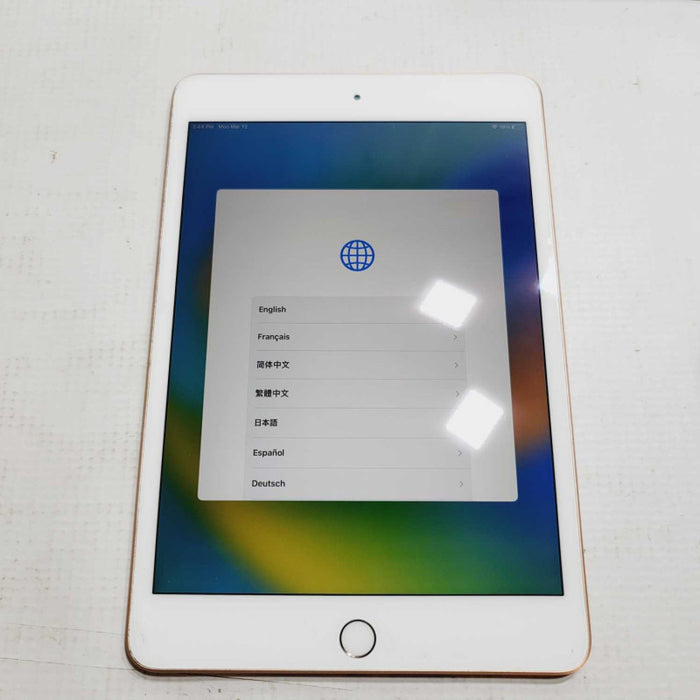 iPad mini (5th generation) 2019 A2133 - Storage is unknown - READ =