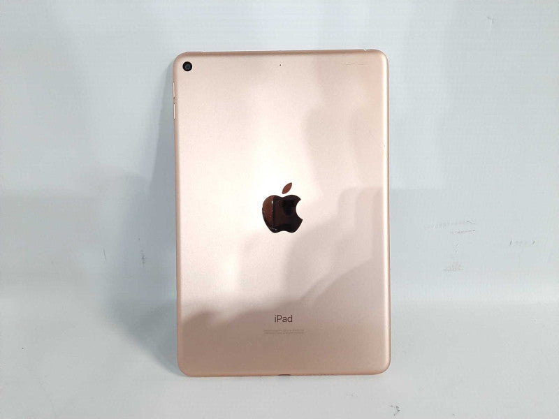 Apple iPad Mini 5(A2133). Wi-Fi READ $