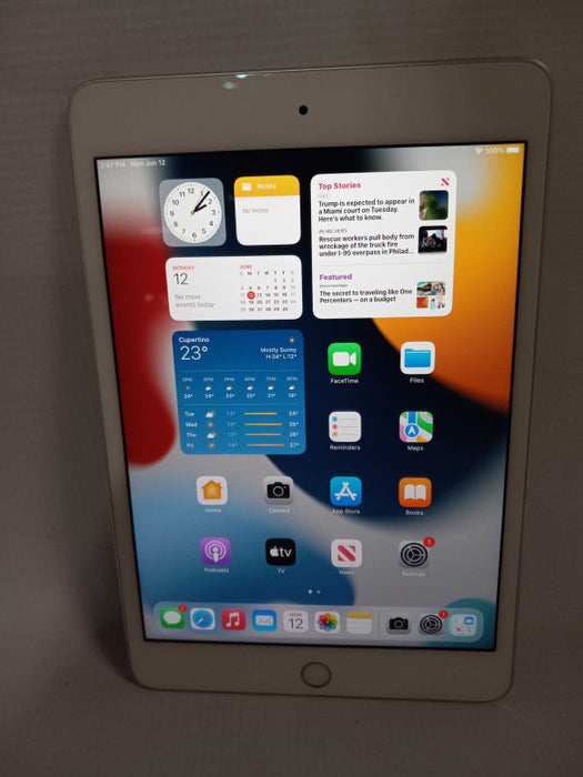 iPad mini 4 64GB A1538