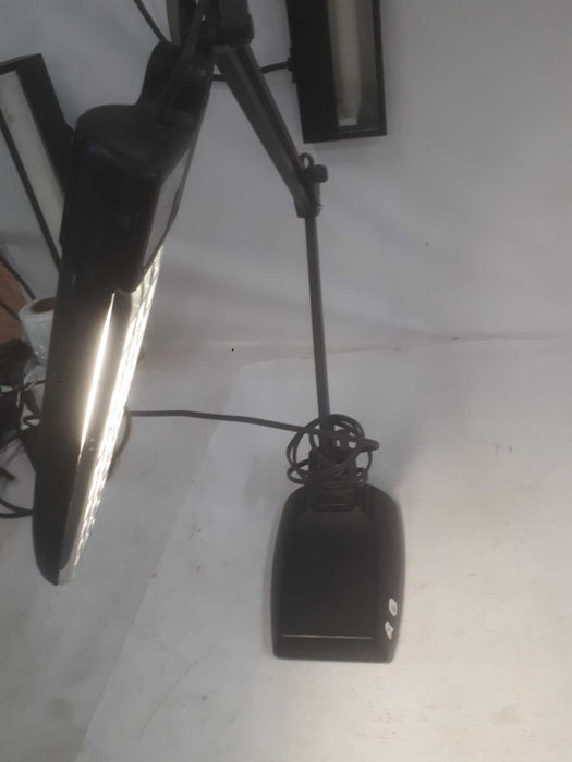Portable Lamp Model# E81079