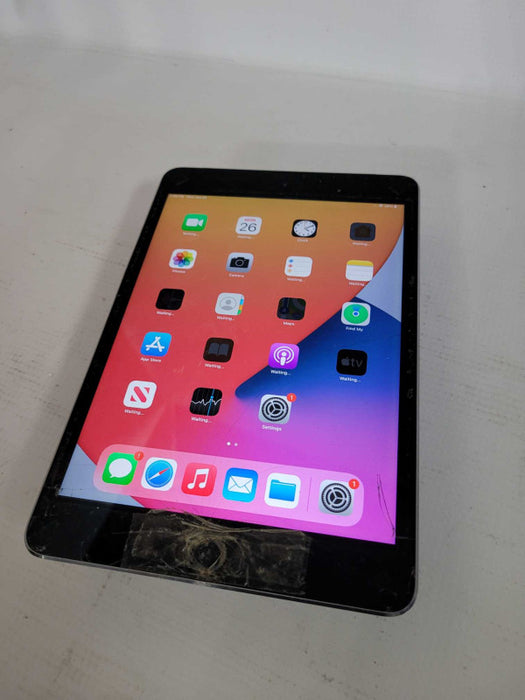 iPad Mini 4 16GB - READ