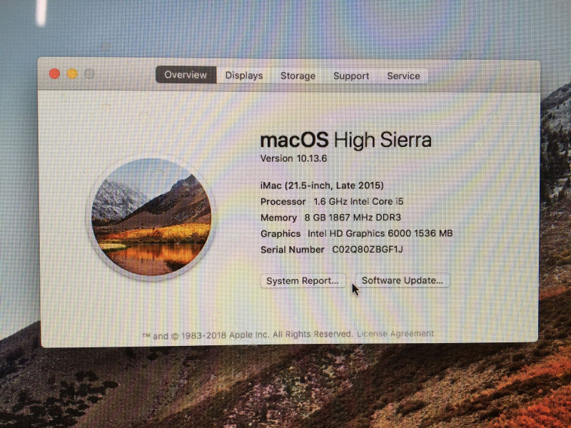 Apple iMac 21.5-Inch Late 2015 i5-5250U 1.6 GHz 8 GB RAM 1 TB HDD Read!