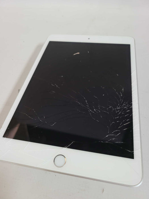 iPad Mini 5th Gen 64GB (A2133) Q