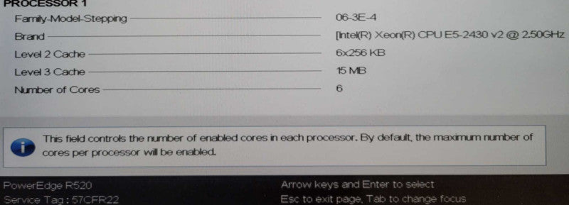 DELL PowerEdge R520 Intel Xeon E5-2430 V2 @2.50GHz 24GB RAM H710 mini RAID !