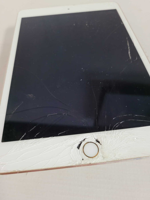 Apple iPad Mini 4 128GB (A1538) - READ