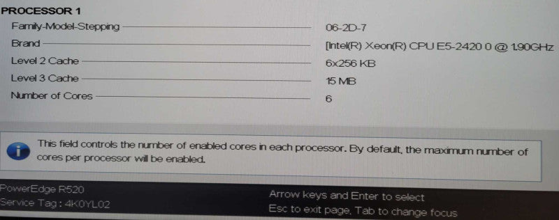 DELL PowerEdge R520 Intel Xeon E5-2420 0 @1.90GHz 16GB RAM H710 mini RAID !