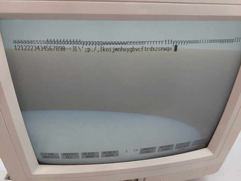 Vintage Hewlett Packard Monitor and Keyboard Ordering Number : C1064W