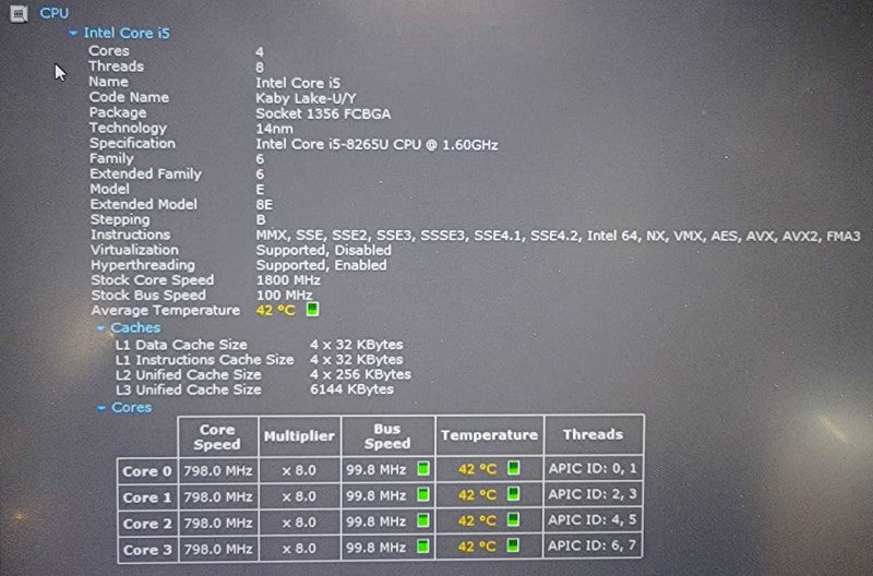 Lenovo ThinkPad T590 intel i5-8265U @ 1.60GHz / 8.0GB Ram / 256GB M.2+500HDD !
