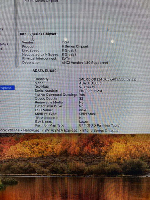 Apple Mac mini Mid 2010 Intel Core i5-2520M @ 2.50 GHz 8 GB RAM 240 GB SSD
