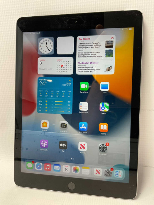 Apple iPad 6th gen 32GB WiFi+Cellular A1954 UNLOCKED  -
