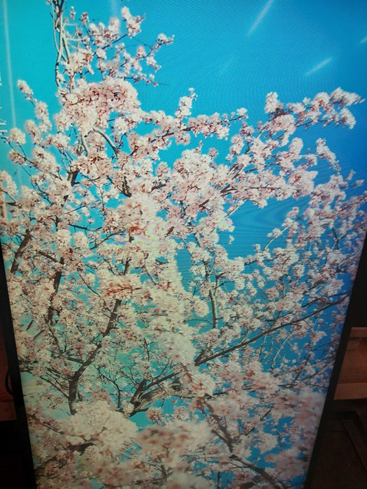 Sharp LCD Monitor Model: PN-U553