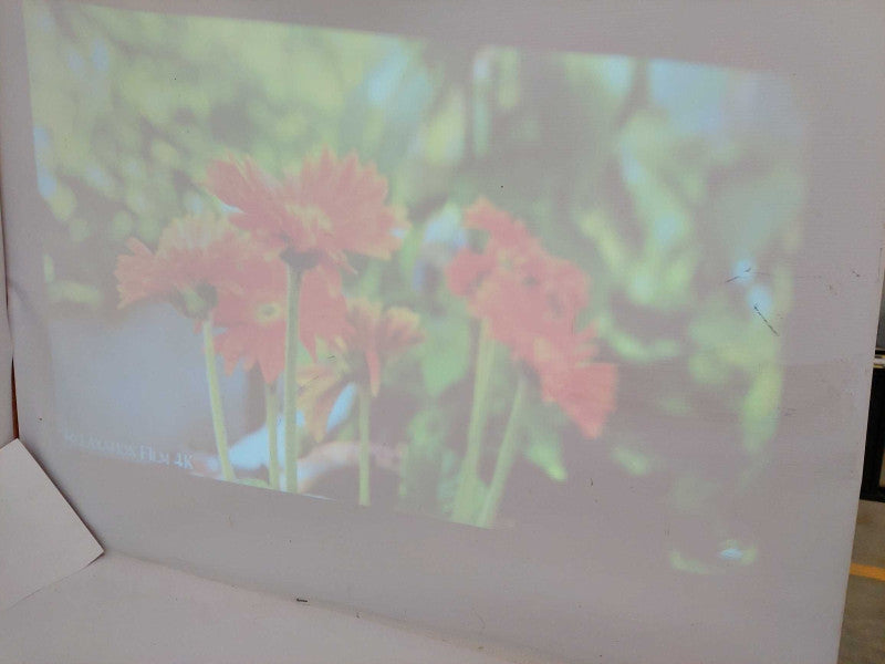 Projector