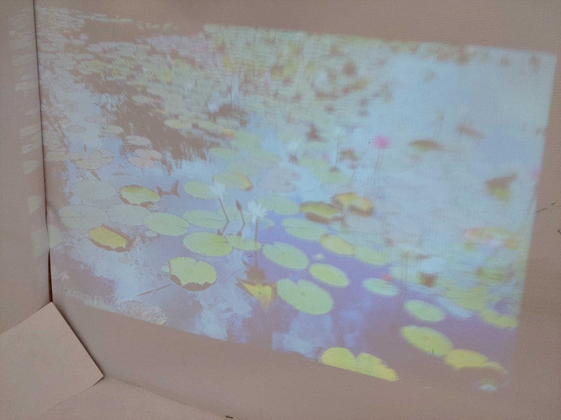 Projector