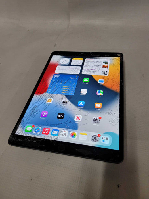 Apple iPad 3rd Gen 256GB (A2152) - READ