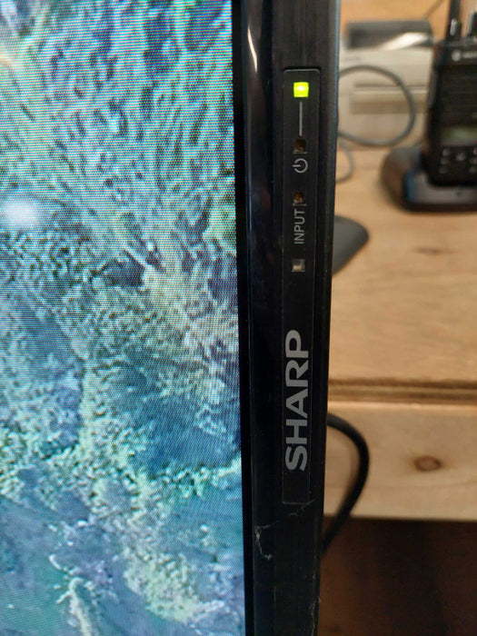 Sharp LCD Monitor Model: PN-E521