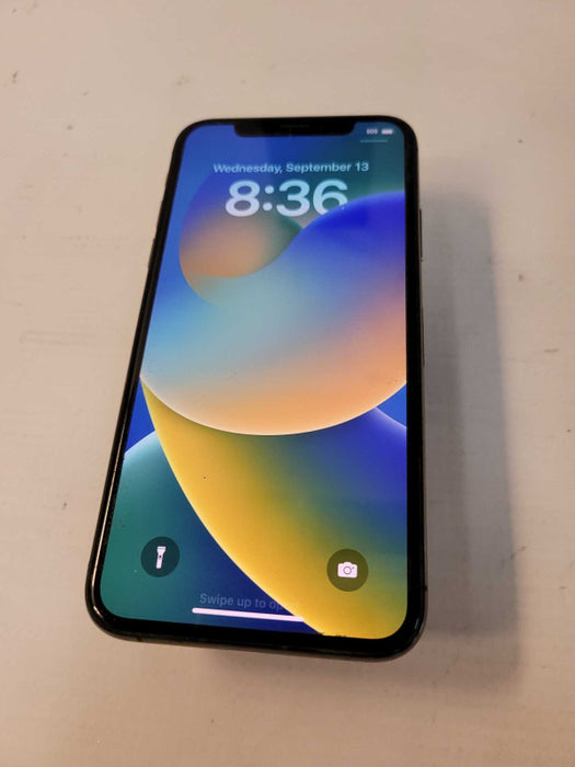 Apple iPhone XS 256GB (A1920)
