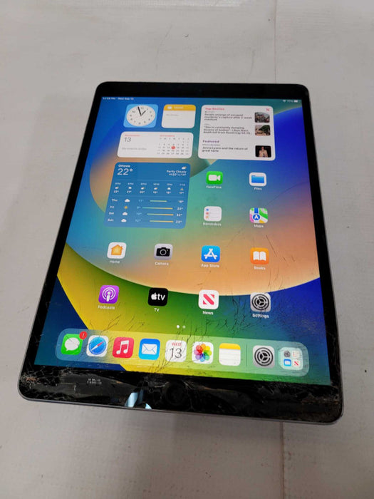 Apple iPad Pro 10.5\\" 256GB SSD (A1709) - READ