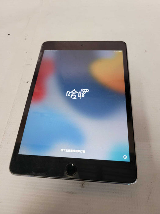 Apple iPad Mini 4 (A1538) - READ