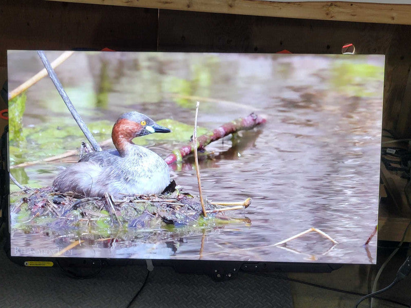 Barco Unisee 55\\" 800nits UNI-8002, 55\\" DP1.2 PS MNT w/ Mounting Structu, READ Q_
