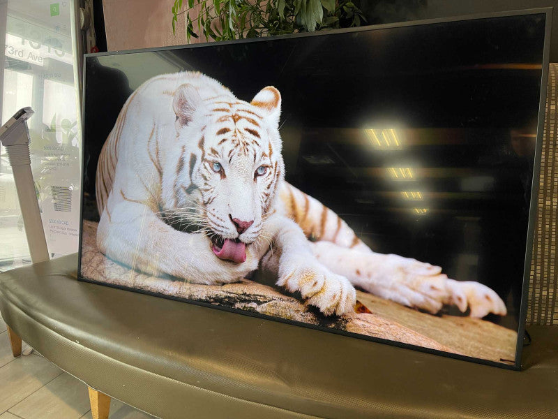 Samsung QB55N Color Display Digital Signage Flat Panel 75\\" LED 4K Ultra HD -