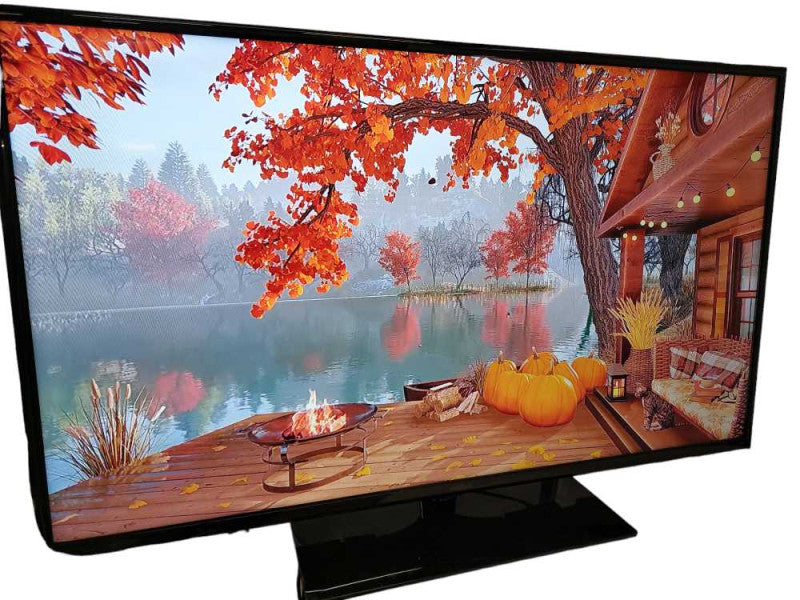 Insignia LCD Colour TV Model: NS-48D510NA15 ?