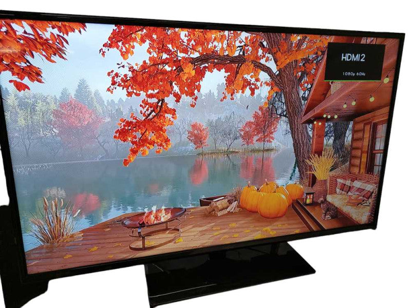 Insignia LCD Colour TV Model: NS-48D510NA15 ?