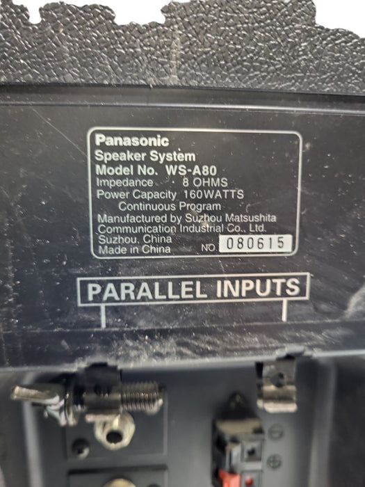 Panasonic Ramsa WS-A80 Speaker &