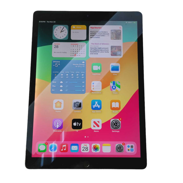 Apple iPad PRO 12.9 (2nd gen) 256GB UNLOCKED Plz READ  -