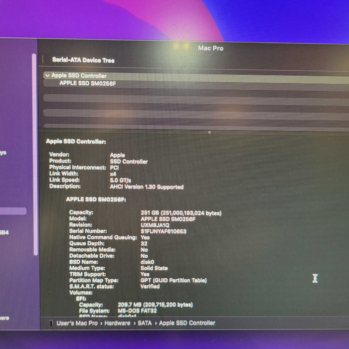 Apple Mac Pro Late 2013 4 Core Xeon E5-1620 v2 @3.70GHz 16GB RAM 256GB SSD  -