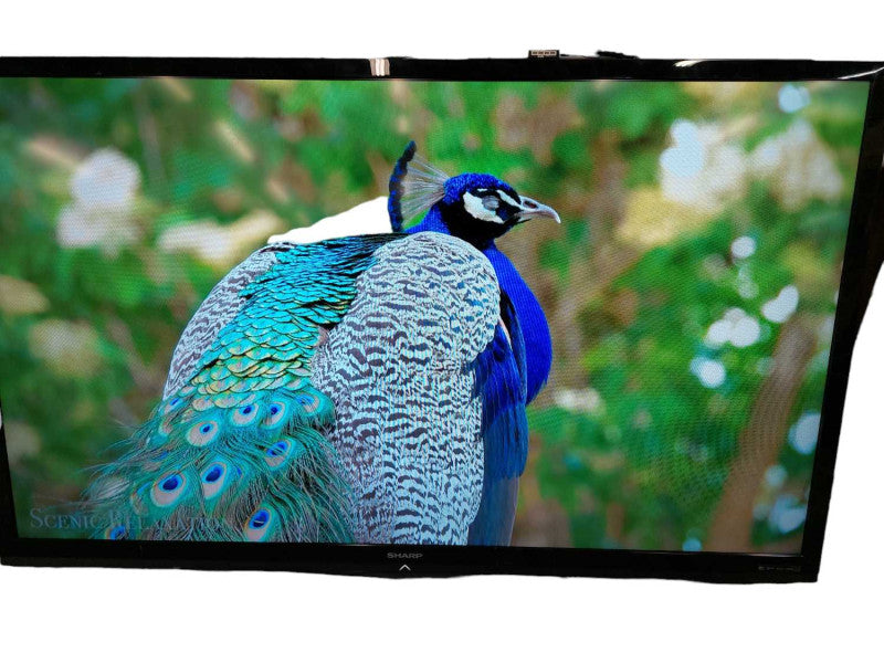 Sharp 80\\" LCD TV Model: LC-80LE632E Q?