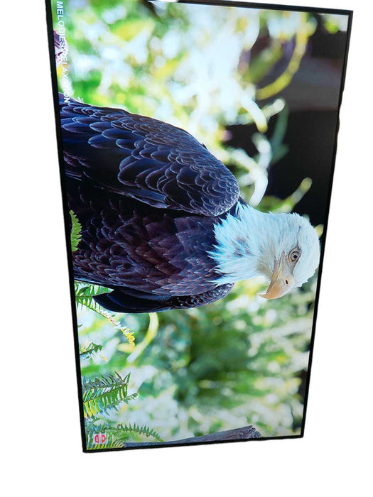 49\\" Samsung Colour Display Unit   Model: LH49PHFPBGC/GO ?