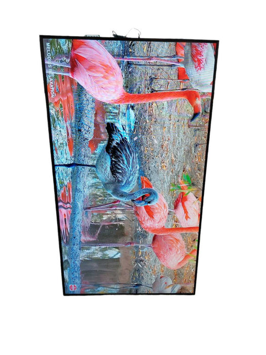 49\\" Samsung Colour Display Unit   Model: LH49PHFPBGC/GO ?