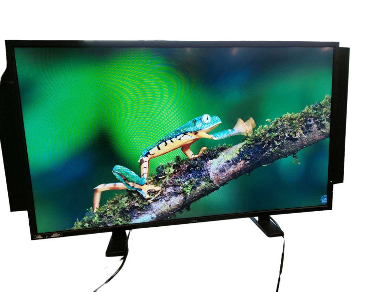 NEC Multisync V463 LCD Monitor w Model: SP-TF1 mounted side speaker set â